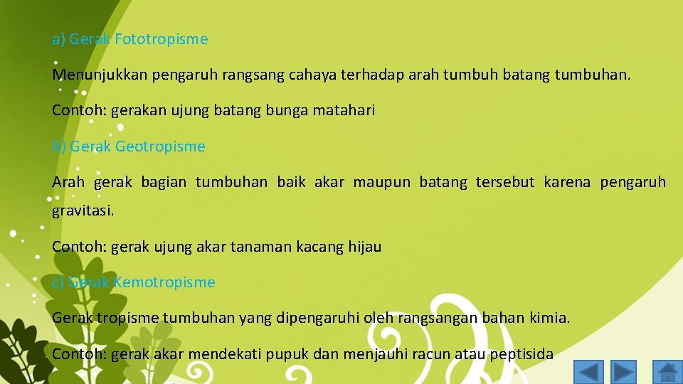 a) Gerak Fototropisme Menunjukkan pengaruh rangsang cahaya terhadap arah tumbuh batang tumbuhan. Contoh: gerakan