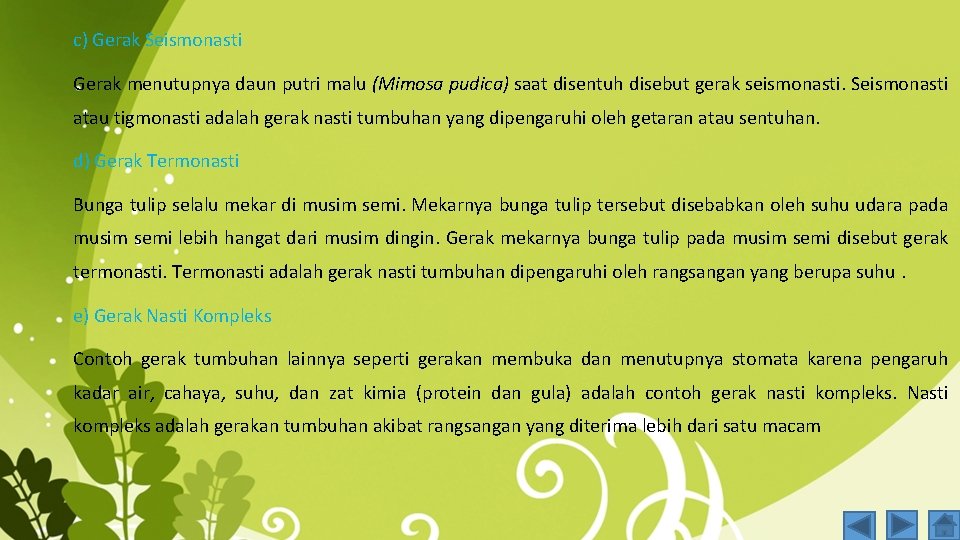 c) Gerak Seismonasti Gerak menutupnya daun putri malu (Mimosa pudica) saat disentuh disebut gerak