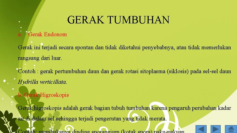 GERAK TUMBUHAN a. Gerak Endonom Gerak ini terjadi secara spontan dan tidak diketahui penyebabnya,