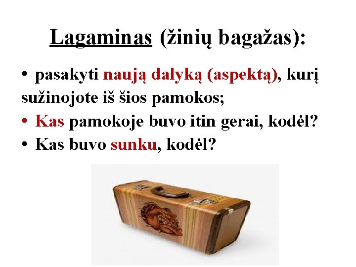 Lagaminas (žinių bagažas): • pasakyti naują dalyką (aspektą), kurį sužinojote iš šios pamokos; •