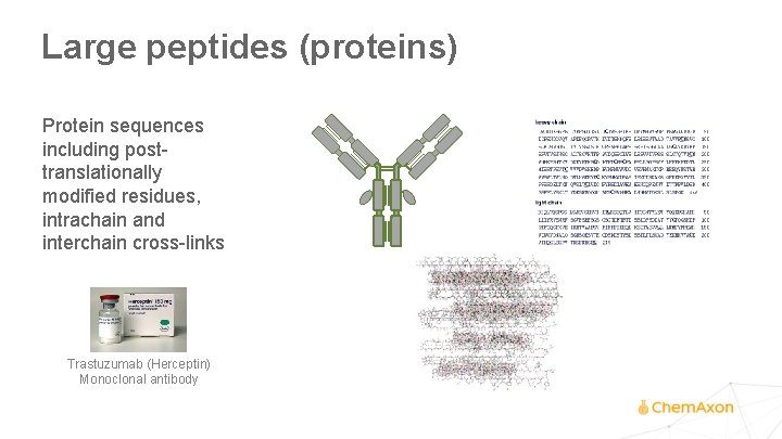 Large peptides (proteins) Protein sequences including posttranslationally modified residues, intrachain and interchain cross-links Trastuzumab