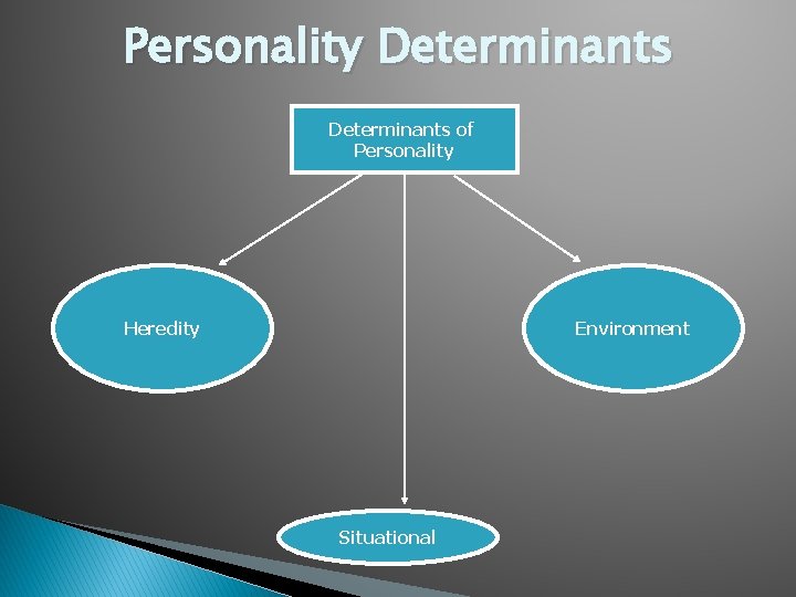 Personality Determinants of Personality Heredity Environment Situational 