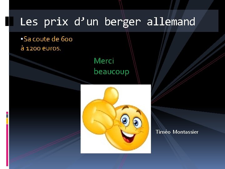 Les prix d’un berger allemand • Sa coute de 600 à 1200 euros. Merci