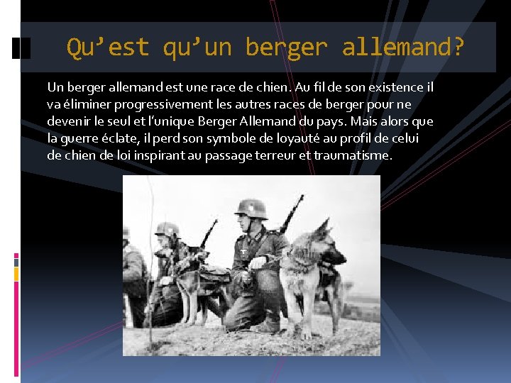 Qu’est qu’un berger allemand? Un berger allemand est une race de chien. Au fil