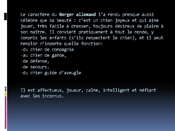 Le caractère du Berger allemand l’a rendu presque aussi célèbre que sa beauté :