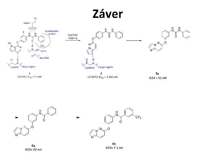 Záver 5 a IC 50 = 52 n. M 6 a IC 50= 80