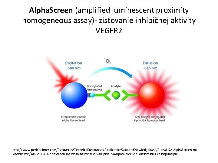 Alpha. Screen (amplified luminescent proximity homogeneous assay)- zisťovanie inhibičnej aktivity VEGFR 2 http: //www.