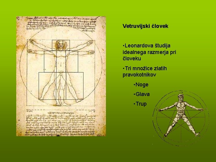 Vetruvijski človek • Leonardova študija idealnega razmerja pri človeku • Tri množice zlatih pravokotnikov