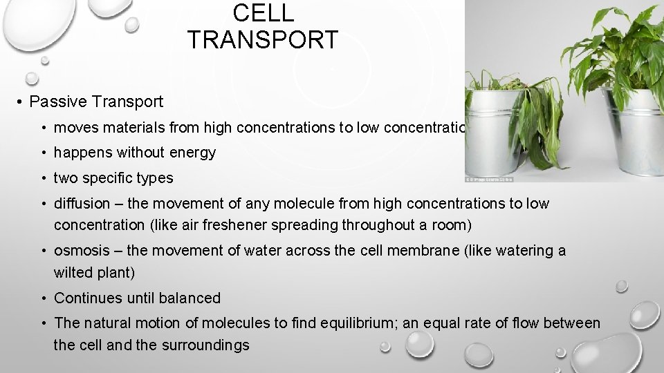 CELL TRANSPORT • Passive Transport • moves materials from high concentrations to low concentrations