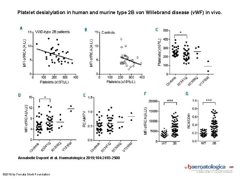 Platelet desialylation in human and murine type 2 B von Willebrand disease (v. WF)