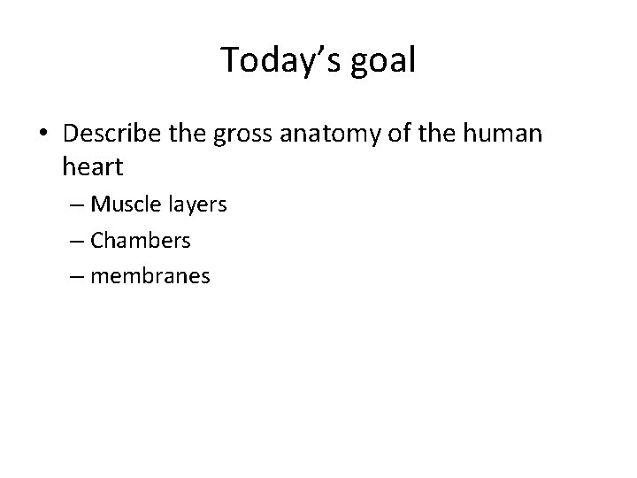 Today’s goal • Describe the gross anatomy of the human heart – Muscle layers