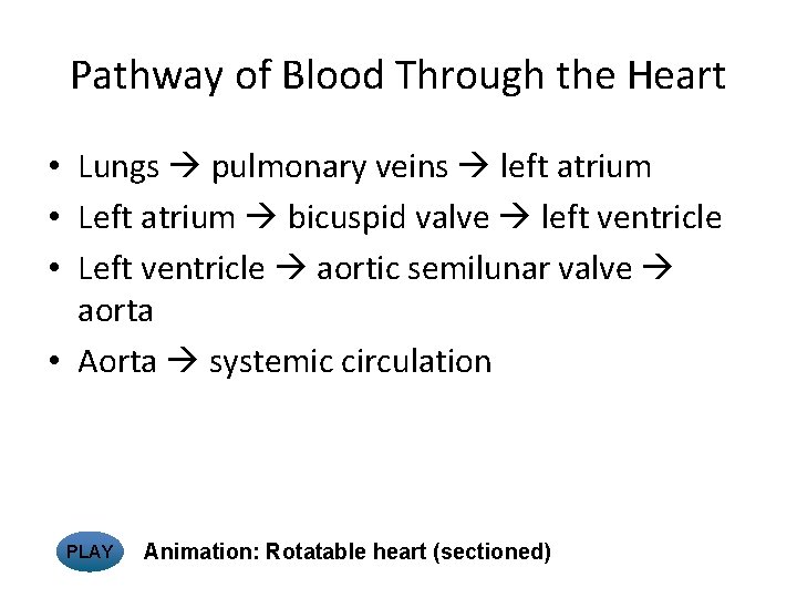 Pathway of Blood Through the Heart • Lungs pulmonary veins left atrium • Left