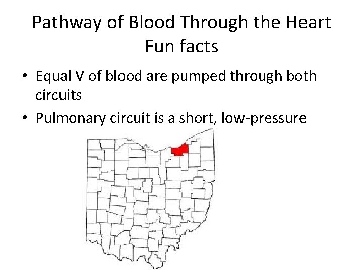 Pathway of Blood Through the Heart Fun facts • Equal V of blood are