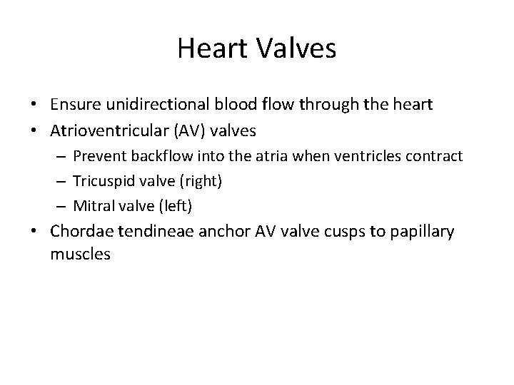 Heart Valves • Ensure unidirectional blood flow through the heart • Atrioventricular (AV) valves