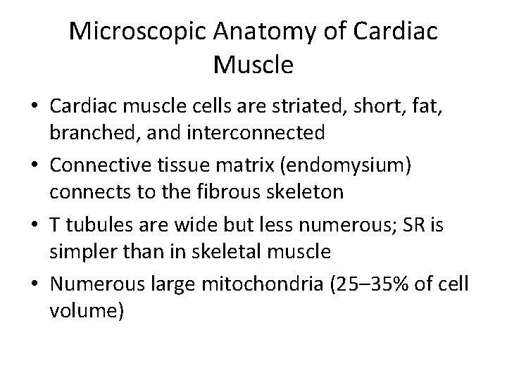 Microscopic Anatomy of Cardiac Muscle • Cardiac muscle cells are striated, short, fat, branched,