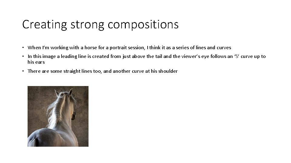 Creating strong compositions • When I’m working with a horse for a portrait session,
