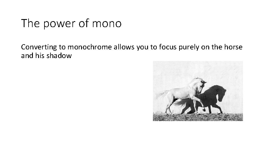 The power of mono Converting to monochrome allows you to focus purely on the
