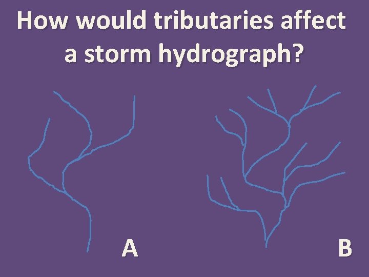 How would tributaries affect a storm hydrograph? A B 