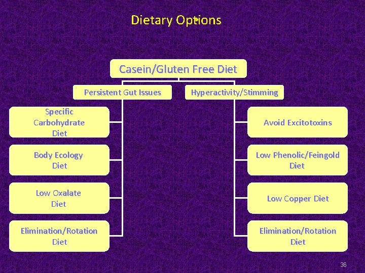 Dietary Options • Casein/Gluten Free Diet Persistent Gut Issues Hyperactivity/Stimming Specific Carbohydrate Diet Avoid