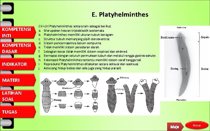 E. Platyhelminthes KOMPETENSI INTI KOMPETENSI DASAR INDIKATOR Ciri-ciri Platyhelminthes antara lain sebagai berikut. a.