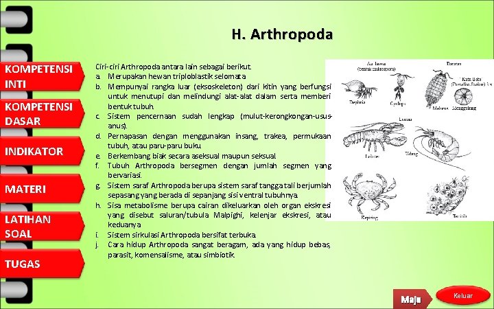 H. Arthropoda KOMPETENSI INTI KOMPETENSI DASAR INDIKATOR MATERI LATIHAN SOAL TUGAS Ciri-ciri Arthropoda antara