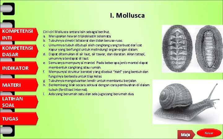 I. Mollusca KOMPETENSI INTI KOMPETENSI DASAR INDIKATOR MATERI LATIHAN SOAL Ciri-ciri Mollusca antara lain