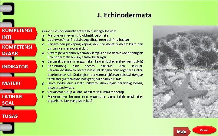 J. Echinodermata KOMPETENSI INTI KOMPETENSI DASAR INDIKATOR MATERI LATIHAN SOAL Ciri-ciri Echinodermata antara lain