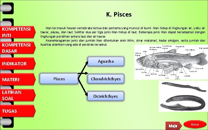 K. Pisces KOMPETENSI INTI KOMPETENSI DASAR Ikan termasuk hewan vertebrata tertua dan pertama yang