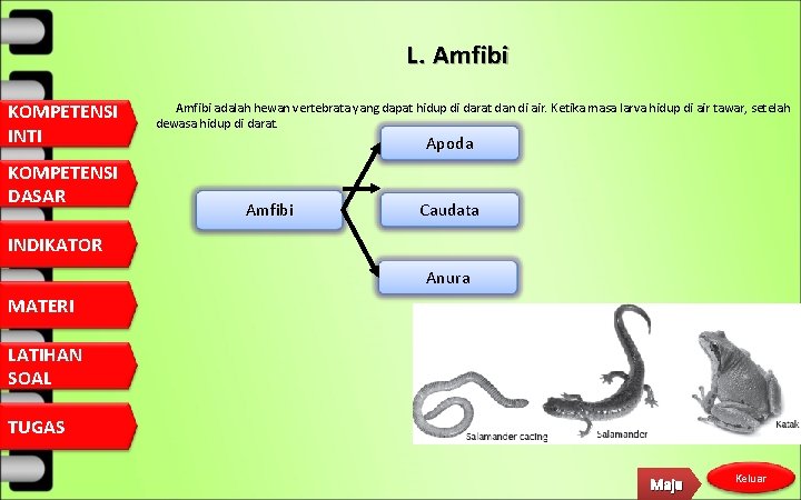 L. Amfibi KOMPETENSI INTI KOMPETENSI DASAR Amfibi adalah hewan vertebrata yang dapat hidup di