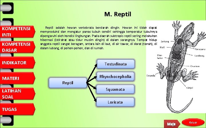 M. Reptil KOMPETENSI INTI KOMPETENSI DASAR Reptil adalah hewan vertebrata berdarah dingin. Hewan ini