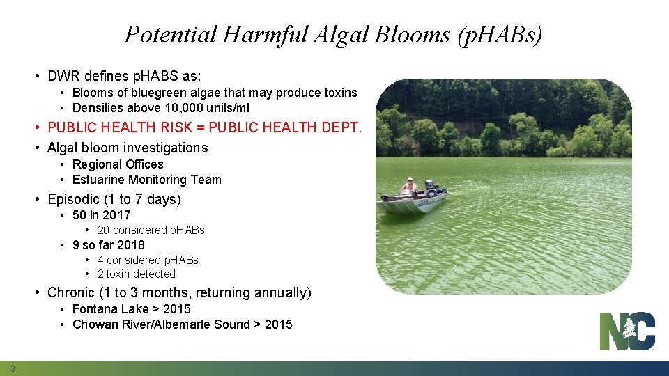 Potential Harmful Algal Blooms (p. HABs) • DWR defines p. HABS as: • Blooms