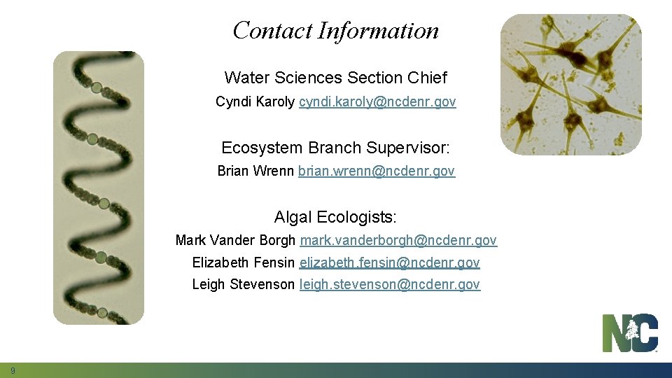 Contact Information Water Sciences Section Chief Cyndi Karoly cyndi. karoly@ncdenr. gov Ecosystem Branch Supervisor: