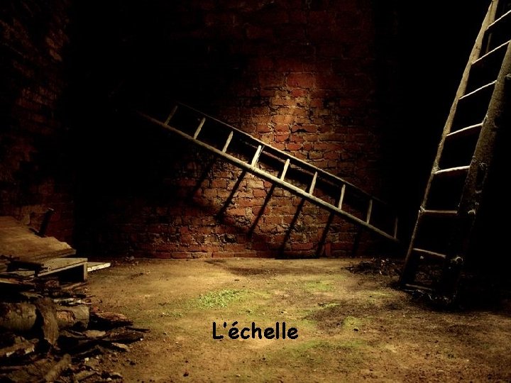 L’échelle 