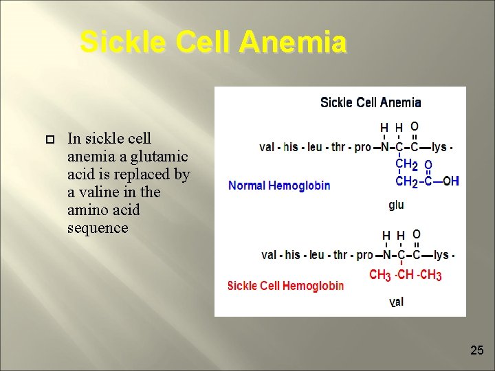 Sickle Cell Anemia In sickle cell anemia a glutamic acid is replaced by a