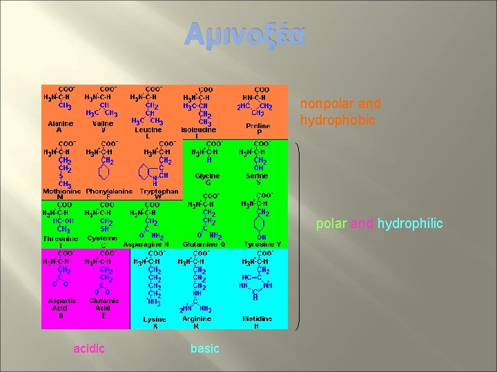 Αμινοξέα nonpolar and hydrophobic polar and hydrophilic acidic basic 