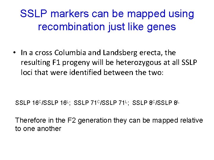SSLP markers can be mapped using recombination just like genes • In a cross