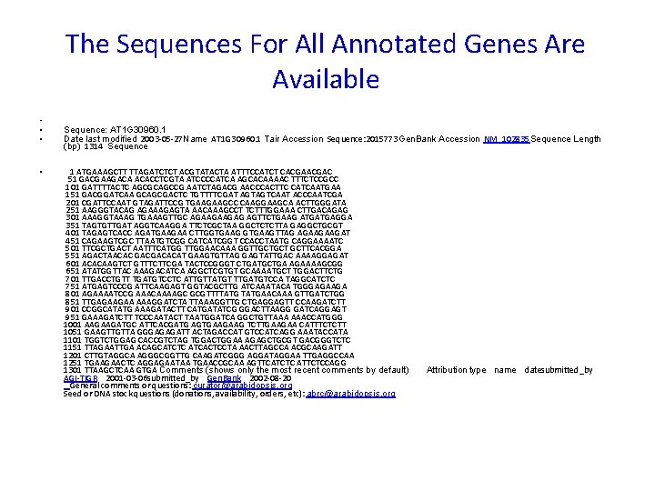 The Sequences For All Annotated Genes Are Available • • Sequence: AT 1 G