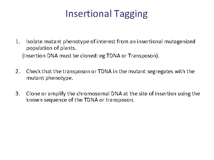Insertional Tagging 1. Isolate mutant phenotype of interest from an insertional mutagenized population of