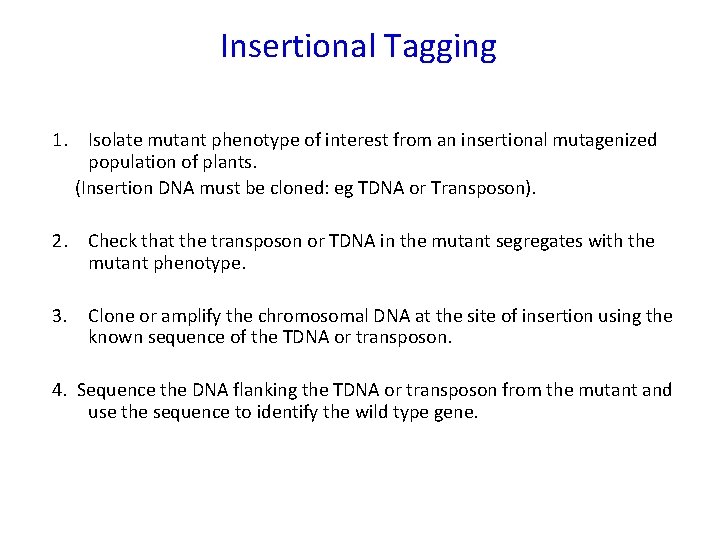 Insertional Tagging 1. Isolate mutant phenotype of interest from an insertional mutagenized population of