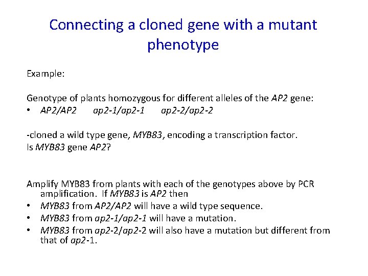 Connecting a cloned gene with a mutant phenotype Example: Genotype of plants homozygous for