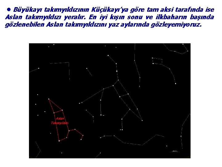 ●Büyükayı takımyıldızının Küçükayı’ya göre tam aksi tarafında ise Aslan takımyıldızı yeralır. En iyi kışın