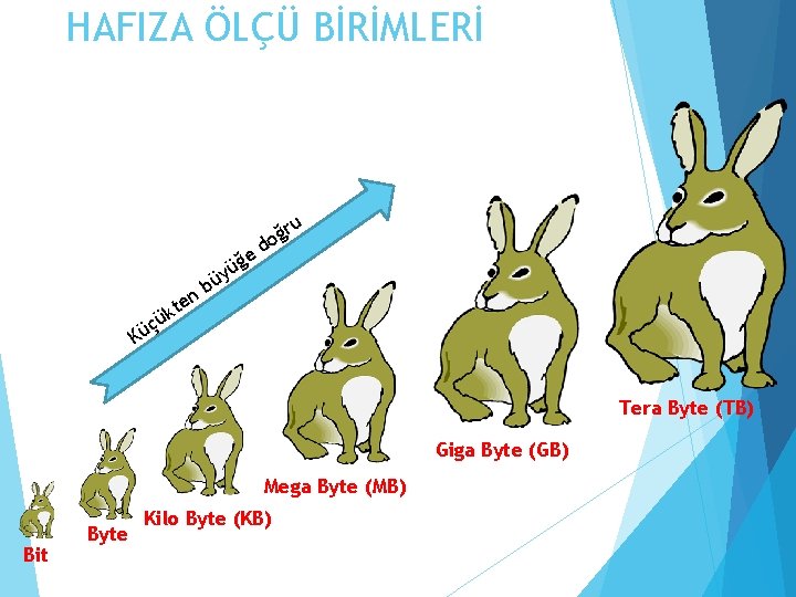 HAFIZA ÖLÇÜ BİRİMLERİ u e üğ y ü b n ğr o d e