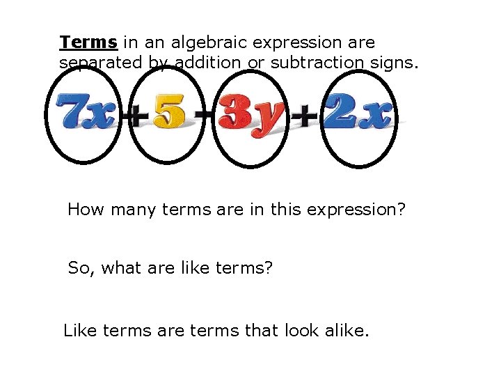 Terms in an algebraic expression are separated by addition or subtraction signs. How many