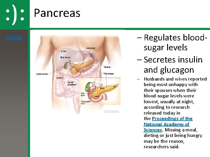 Pancreas Outline – Regulates bloodsugar levels – Secretes insulin and glucagon – Husbands and