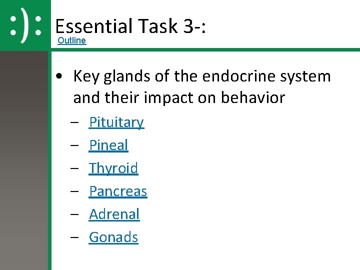 Essential Task 3 -: Outline • Key glands of the endocrine system and their