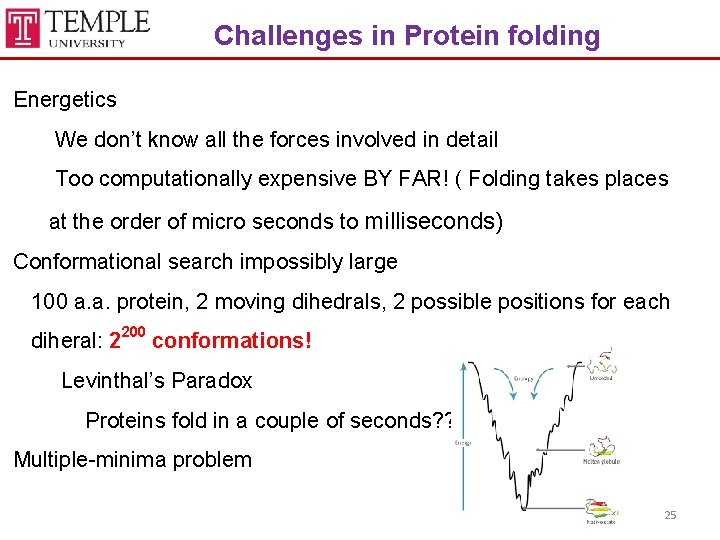 Challenges in Protein folding Energetics We don’t know all the forces involved in detail