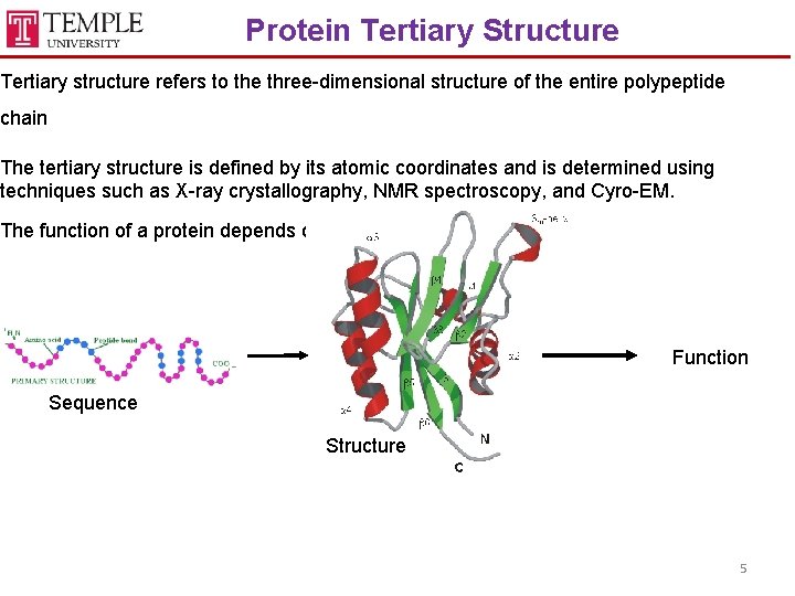 Protein Tertiary Structure Tertiary structure refers to the three-dimensional structure of the entire polypeptide
