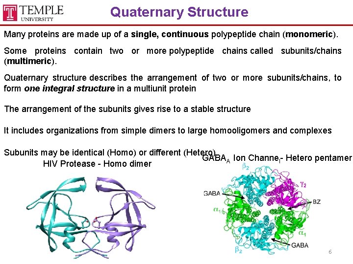 Quaternary Structure Many proteins are made up of a single, continuous polypeptide chain (monomeric).