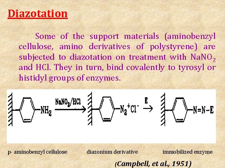 Diazotation Some of the support materials (aminobenzyl cellulose, amino derivatives of polystyrene) are subjected
