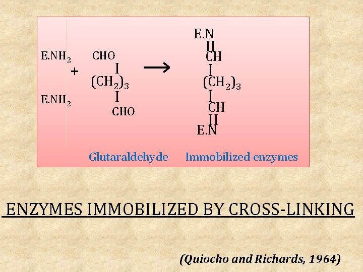 E. NH 2 ⁺ E. NH 2 CHO Ӏ (CH 2)3 Ӏ CHO E.